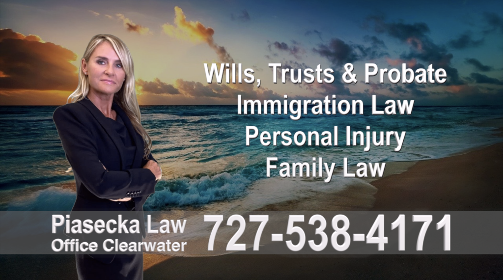 Polish, Attorneys, Lawyers, Florida, Polish, speaking, Wills, Trusts, Family Law, Personal Injury, Immigration, , 1